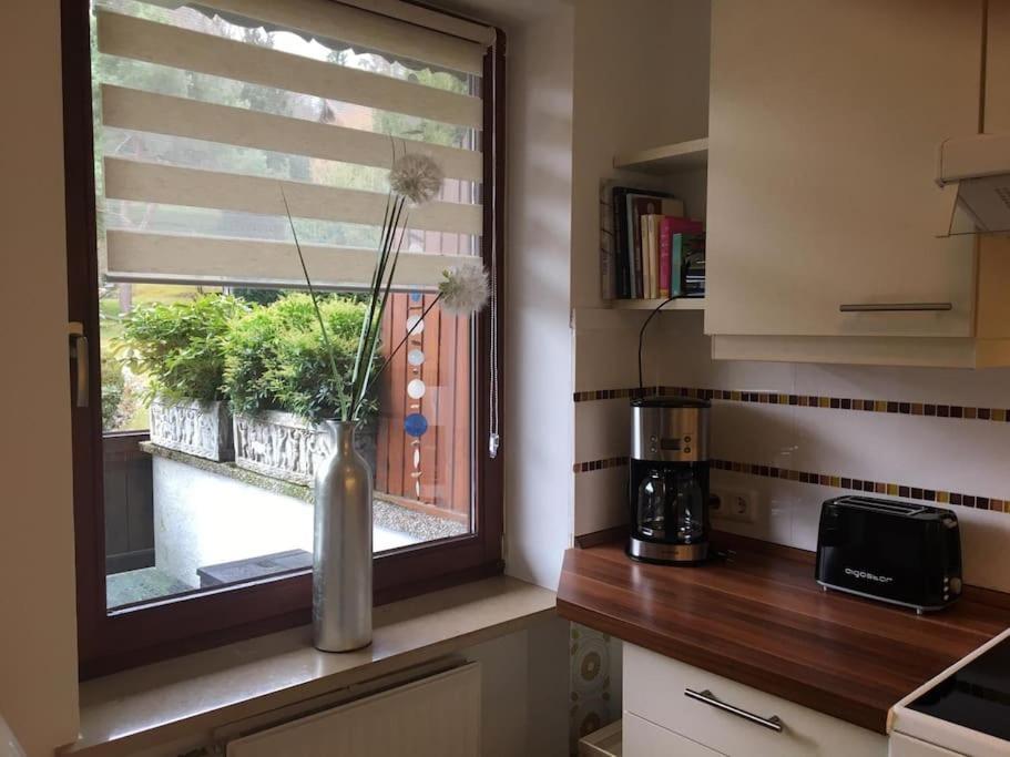 Wohnung Direkt Am Tegernsee Mit Xl-Terrasse Gmund am Tegernsee Exterior foto
